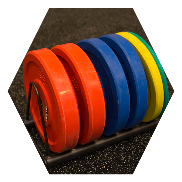 SR-WPS Weight Plate Storage