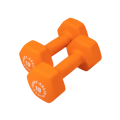 BSTND - Body-Solid Tools Neoprene Dumbbells