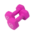 BSTND - Body-Solid Tools Neoprene Dumbbells