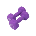 BSTND - Body-Solid Tools Neoprene Dumbbells