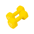 BSTND - Body-Solid Tools Neoprene Dumbbells