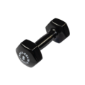 BSTVD - Body-Solid Tools Vinyl Dumbbells