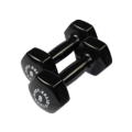 BSTVD - Body-Solid Tools Vinyl Dumbbells