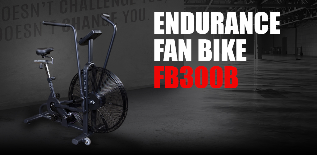 FB300B - Endurance Fan Bike (black)