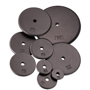 RPB Cast Iron Standard Weight Plates