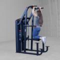 S2ACD - Pro ClubLine Series II Assisted Chin and Dip Machine