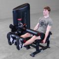 S2LEC - Series II Leg Extension & Leg Curl