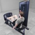 S2LPC - Series II Leg Press & Calf Raise
