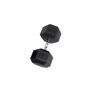 SDR110 Rubber Hex Dumbbells