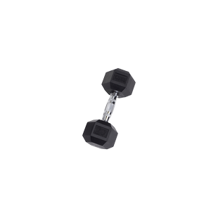 SDR20 Rubber Hex Dumbbells