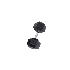 SDR55 Rubber Hex Dumbbells