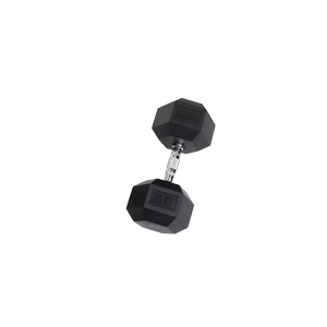 SDR60 Rubber Hex Dumbbells