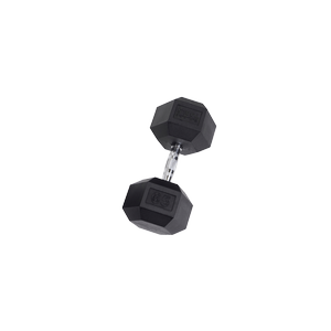 SDR65 Rubber Hex Dumbbells