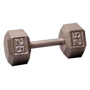 SDX25 25 Lb. Cast Iron Hex Dumbbell