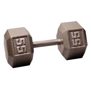 SDX55 Cast Iron Hex Dumbbells