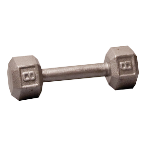 SDX8 Cast Iron Hex Dumbbells