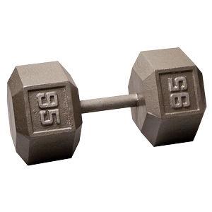 SDX95 Cast Iron Hex Dumbbells