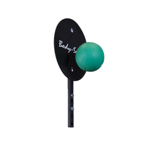 SPRBT Pro ClubLine Ball Target Attachment