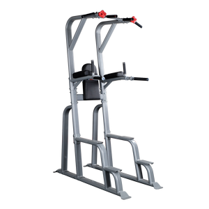 SVKR1000 - Pro ClubLine Vertical Knee Raise